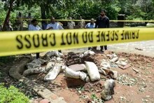 আইসিস জঙ্গির বাড়ি থেকে উদ্ধার জোড়া সুইসাইড ভেস্ট!