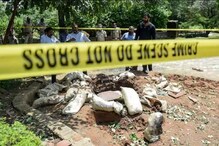 আইসিস জঙ্গির বাড়ি থেকে উদ্ধার জোড়া সুইসাইড ভেস্ট! আইসিস জঙ্গির বাড়ি থেকে উদ্ধার জোড়া সুইসাইড ভেস্ট!
