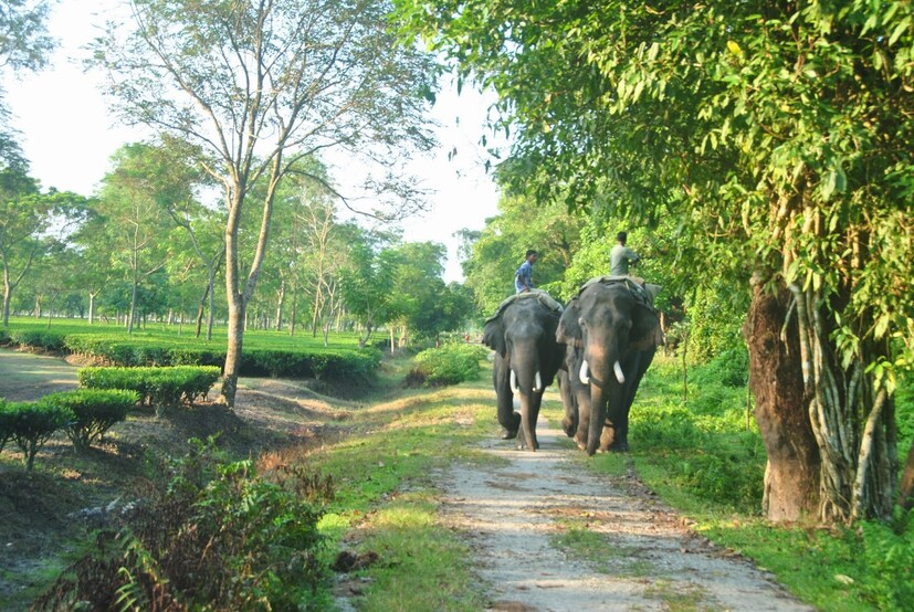 *স্বাধীনতা দিবসে বা অন্য কোন ছুটি মানেই বাঙালির পায়ের তলায় সর্ষে। তাই শনিবার স্বাধীনতা দিবসের দিনে সকাল থেকেই ডুয়ার্সের মূর্তিতে ভিড় যেন উপচে পড়ল । সংগৃহীত ছবি। 