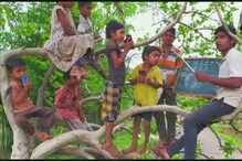 নেই নেটওয়ার্ক ! অনলাইন ক্লাস করতে গাছের মগডালে চড়তে হল শিক্ষক ও ছাত্রদের ! নেই নেটওয়ার্ক ! অনলাইন ক্লাস করতে গাছের মগডালে চড়তে হল শিক্ষক ও ছাত্রদের !