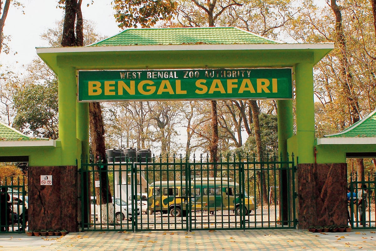 *নির্জন সাফারি পার্ক। একেবারে খাঁ খাঁ করছে পার্ক ক্যাম্পাস। নেই ক্যামেরার ফ্ল্যাশের ঝলকানি, নেই মানুষের কোলাহল! চারপাশে শুধুই পাখিদের কলতান। বন্য জন্তুদের হুঙ্কার। আর ওই সময়েই নিজেদের এনক্লোজারে দিব্যি সময় কাটাচ্ছে রয়্যাল বেঙ্গল টাইগার, চিতা, হিমালয়ান ব্ল্যাক বিয়ার, কুনকি হাতি, ভাল্লুক, হরিণ-সহ পার্কের অন্যান্য সদস্যরা। এক্কেবারে খোশ মেজাজে। *নির্জন সাফারি পার্ক। একেবারে খাঁ খাঁ করছে পার্ক ক্যাম্পাস। নেই ক্যামেরার ফ্ল্যাশের ঝলকানি, নেই মানুষের কোলাহল! চারপাশে শুধুই পাখিদের কলতান। বন্য জন্তুদের হুঙ্কার। আর ওই সময়েই নিজেদের এনক্লোজারে দিব্যি সময় কাটাচ্ছে রয়্যাল বেঙ্গল টাইগার, চিতা, হিমালয়ান ব্ল্যাক বিয়ার, কুনকি হাতি, ভাল্লুক, হরিণ-সহ পার্কের অন্যান্য সদস্যরা। এক্কেবারে খোশ মেজাজে।