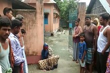 মাসখানের আগে ভাড়াবাড়ি থেকে পালায় স্বামী, 'ভার্চুয়াল ডিভোর্স'র প্রতিবাদে শ্বশুরবাড়ির সামনে ধর্নায় বধূ মাসখানের আগে ভাড়াবাড়ি থেকে পালায় স্বামী, 'ভার্চুয়াল ডিভোর্স'র প্রতিবাদে শ্বশুরবাড়ির সামনে ধর্নায় বধূ