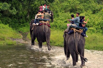 ১৫ অগাস্ট ডুয়ার্সে উপচে পড়ল পর্যটকের ভিড়, বেজায় খুশি স্থানীয় ব্যবসায়ীরা