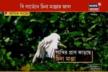 বোটানিক্যাল গার্ডেনে চিনা-মাঞ্জার জাল!কর্মীদের ক্ষতি, প্রাণ যাচ্ছে পাখিদেরও