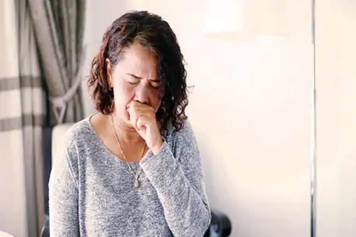 শীত পড়ার সময়ে প্রায়ই সর্দি, কাশির (Common Flu) সমস্যা শুরু হয়ে যায়। যা সারা শীতই থেকে যেতে পারে। ফলে এই সময়ে একটু বাড়তি নজর দিতে হয় ইমিউনিটির দিকে। আর ইমিউনিটি বাড়ানোর জন্য প্রথমেই নজর দেওয়া জরুরি ডায়েটে। খাওয়াদাওয়া ঠিক থাকলে ভিতর থেকেই শরীর ঠিক থাকে। তা ছাড়াও এমন অনেক সবজি বা ফল থাকে, যা প্রাকৃতিক ঔষধি হিসেবে শরীরে কাজ করে। এমনই কিছু খাবারের তালিকা রইল, যা ইমিউনিটি বাড়াতে ও সুস্থ থাকতে ডায়েটে অ্যাড করা যেতে পারে। শীত পড়ার সময়ে প্রায়ই সর্দি, কাশির (Common Flu) সমস্যা শুরু হয়ে যায়। যা সারা শীতই থেকে যেতে পারে। ফলে এই সময়ে একটু বাড়তি নজর দিতে হয় ইমিউনিটির দিকে। আর ইমিউনিটি বাড়ানোর জন্য প্রথমেই নজর দেওয়া জরুরি ডায়েটে। খাওয়াদাওয়া ঠিক থাকলে ভিতর থেকেই শরীর ঠিক থাকে। তা ছাড়াও এমন অনেক সবজি বা ফল থাকে, যা প্রাকৃতিক ঔষধি হিসেবে শরীরে কাজ করে। এমনই কিছু খাবারের তালিকা রইল, যা ইমিউনিটি বাড়াতে ও সুস্থ থাকতে ডায়েটে অ্যাড করা যেতে পারে।
