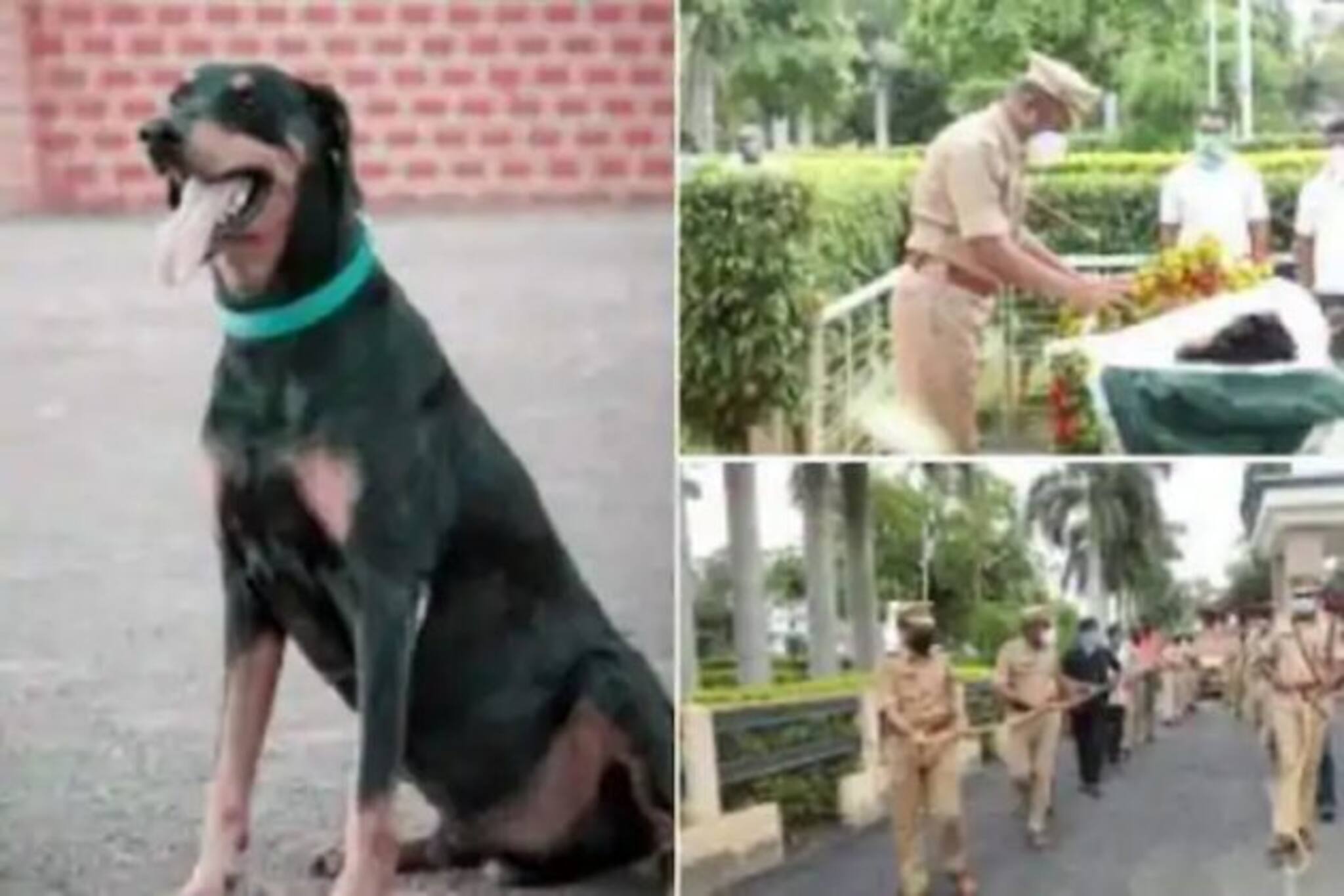 পুলিশের বেস্ট বয়!‌ ৩৬৫ কেসের সামাধান করে প্রয়াত হল মহারাষ্ট্রের ‘‌রকি’