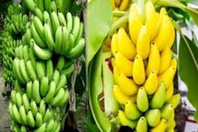 মানসিক অবসাদ দূর করে, মজবুত হয় হাড়ও, এক ফলে উপকার অনেক মানসিক অবসাদ দূর করে, মজবুত হয় হাড়ও, এক ফলে উপকার অনেক