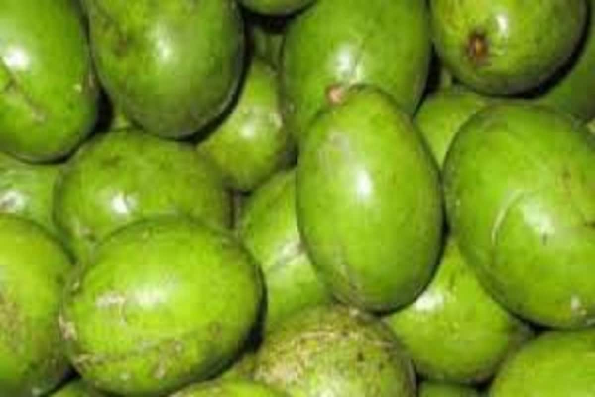 আরও অনেক খাবারে ভিটামিন সি আছে, কিন্তু আমড়া অত্যন্ত সস্তা ৷ শুধুই ভিটামিন সি নয় আমড়াতে ক্যালসিয়ামও আছে ৷ প্রতীকী ছবি ৷ আরও অনেক খাবারে ভিটামিন সি আছে, কিন্তু আমড়া অত্যন্ত সস্তা ৷ শুধুই ভিটামিন সি নয় আমড়াতে ক্যালসিয়ামও আছে ৷ প্রতীকী ছবি ৷
