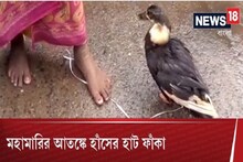 মহামারিতে লোকাচারেও কোপ! মনসা পুজোর আগে হাঁসের হাট শূন্য প্রান্তর, দেখুন