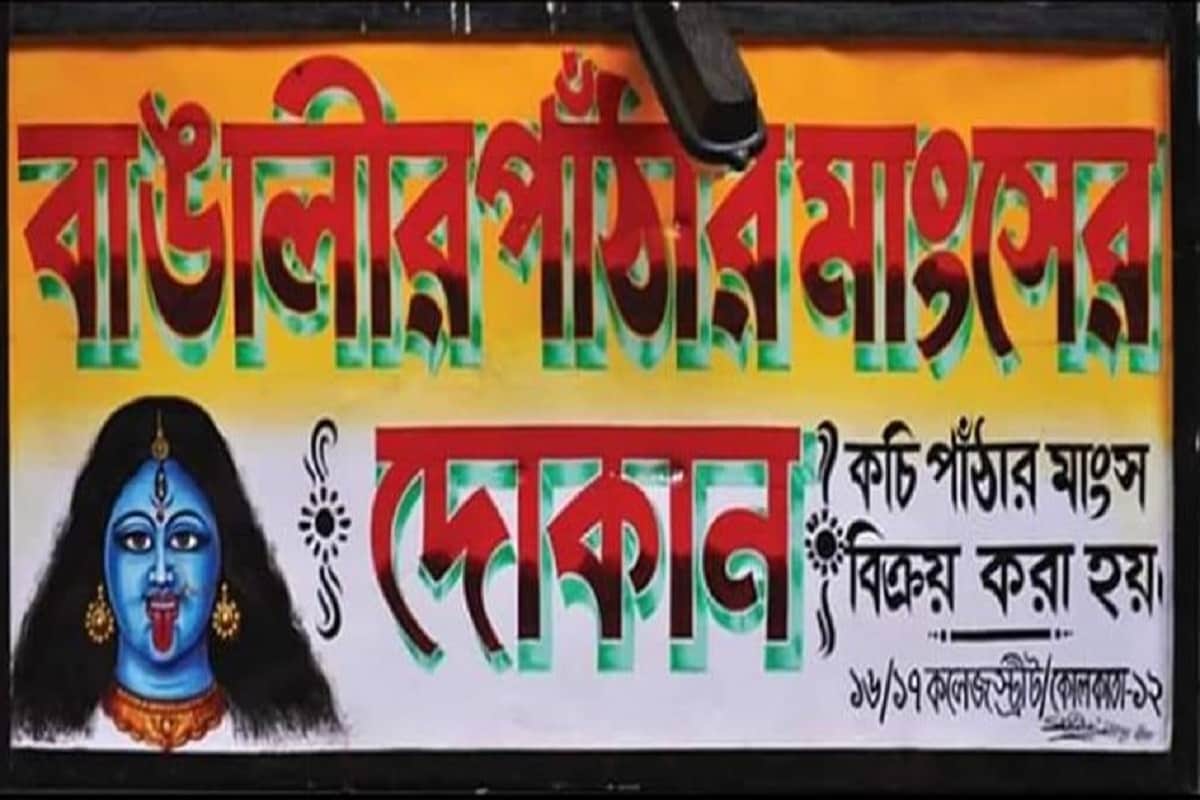 গোপাল পাঠার দোকান: বহু ইতিহাসের সাক্ষী এই দোকান। কলকাতার একমাত্র দোকনা যারা আজও বুক ঠুকে বলে, এখানে বেঙ্গল গোট পাওয়া যায়। খাদ্যরসিক হলে এই দোকনের মাংস মিস করবেন না। গোপাল পাঠার দোকান: বহু ইতিহাসের সাক্ষী এই দোকান। কলকাতার একমাত্র দোকনা যারা আজও বুক ঠুকে বলে, এখানে বেঙ্গল গোট পাওয়া যায়। খাদ্যরসিক হলে এই দোকনের মাংস মিস করবেন না।