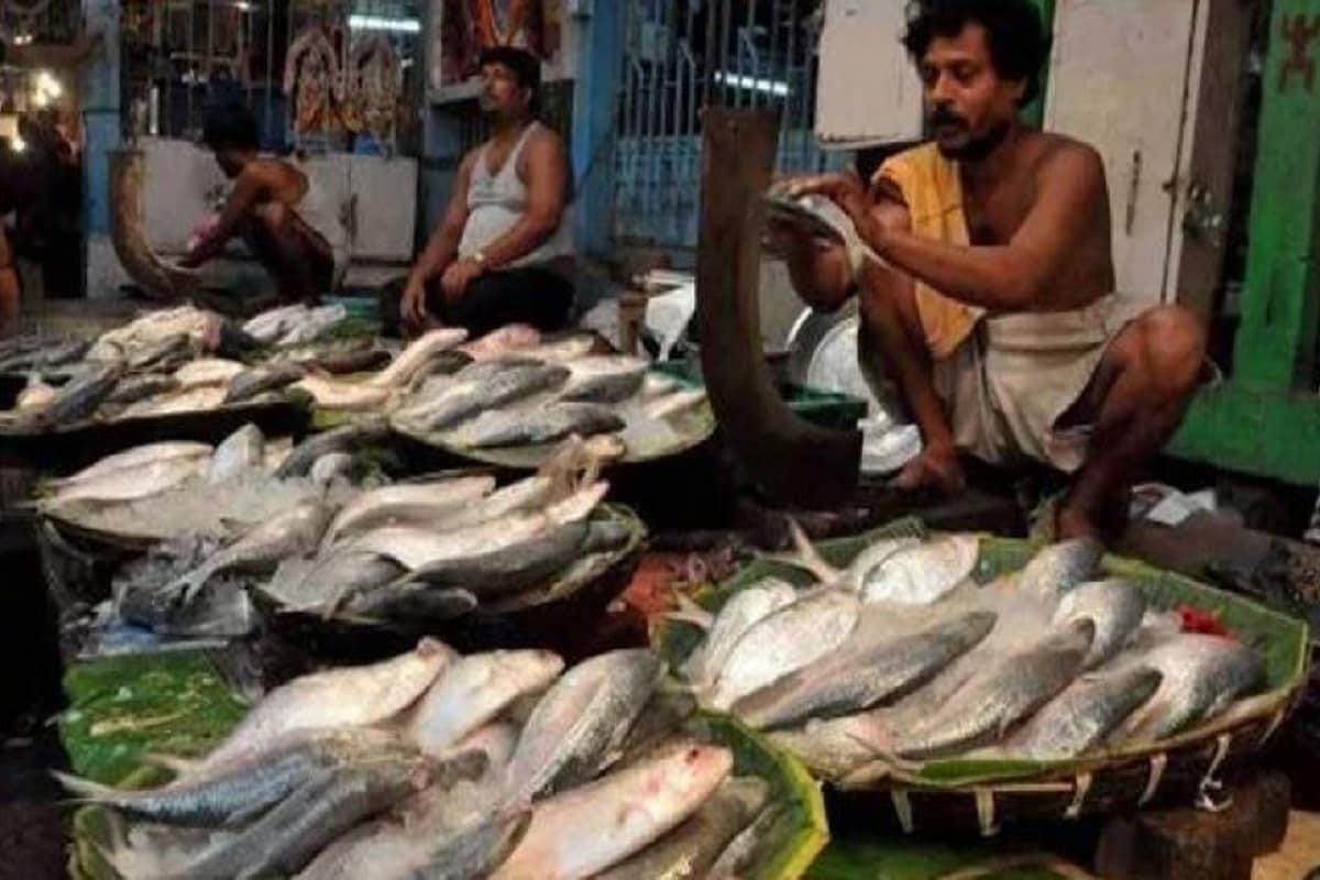 সময় বড় খারাপ চলছে, করোনা কালে মানুষ স্বাদের কথা শিকেয় তুলে খুঁজছেন পুষ্টিগুণ! বাঙালির খাওয়া কন্টিনেন্টালের চাকা ছেড়ে ফিরে এসেছে মা -ঠাকুমার তুলসি -হলুদে৷ সবেতেই হিসেব যাক বাবা দিনের কোটার ভিটামিন সি খাওয়া হল, জিঙ্কটা ঠিক গেল তো! তবে বাঙালিকে খুশি করার মতো খবর আছে এখানে৷ তাদের সবচেয়ে পছন্দের মাছ -অর্থাৎ ইলিশ খেতে পারেন জমিয়ে৷ কারণ মাছের রাজা তো আর সে শুধু শুধু হয়নি, পুষ্টিগুণে ভরপুর এই সুস্বাদু মাছ ৷ Photo-PTI সময় বড় খারাপ চলছে, করোনা কালে মানুষ স্বাদের কথা শিকেয় তুলে খুঁজছেন পুষ্টিগুণ! বাঙালির খাওয়া কন্টিনেন্টালের চাকা ছেড়ে ফিরে এসেছে মা -ঠাকুমার তুলসি -হলুদে৷ সবেতেই হিসেব যাক বাবা দিনের কোটার ভিটামিন সি খাওয়া হল, জিঙ্কটা ঠিক গেল তো! তবে বাঙালিকে খুশি করার মতো খবর আছে এখানে৷ তাদের সবচেয়ে পছন্দের মাছ -অর্থাৎ ইলিশ খেতে পারেন জমিয়ে৷ কারণ মাছের রাজা তো আর সে শুধু শুধু হয়নি, পুষ্টিগুণে ভরপুর এই সুস্বাদু মাছ ৷ Photo-PTI