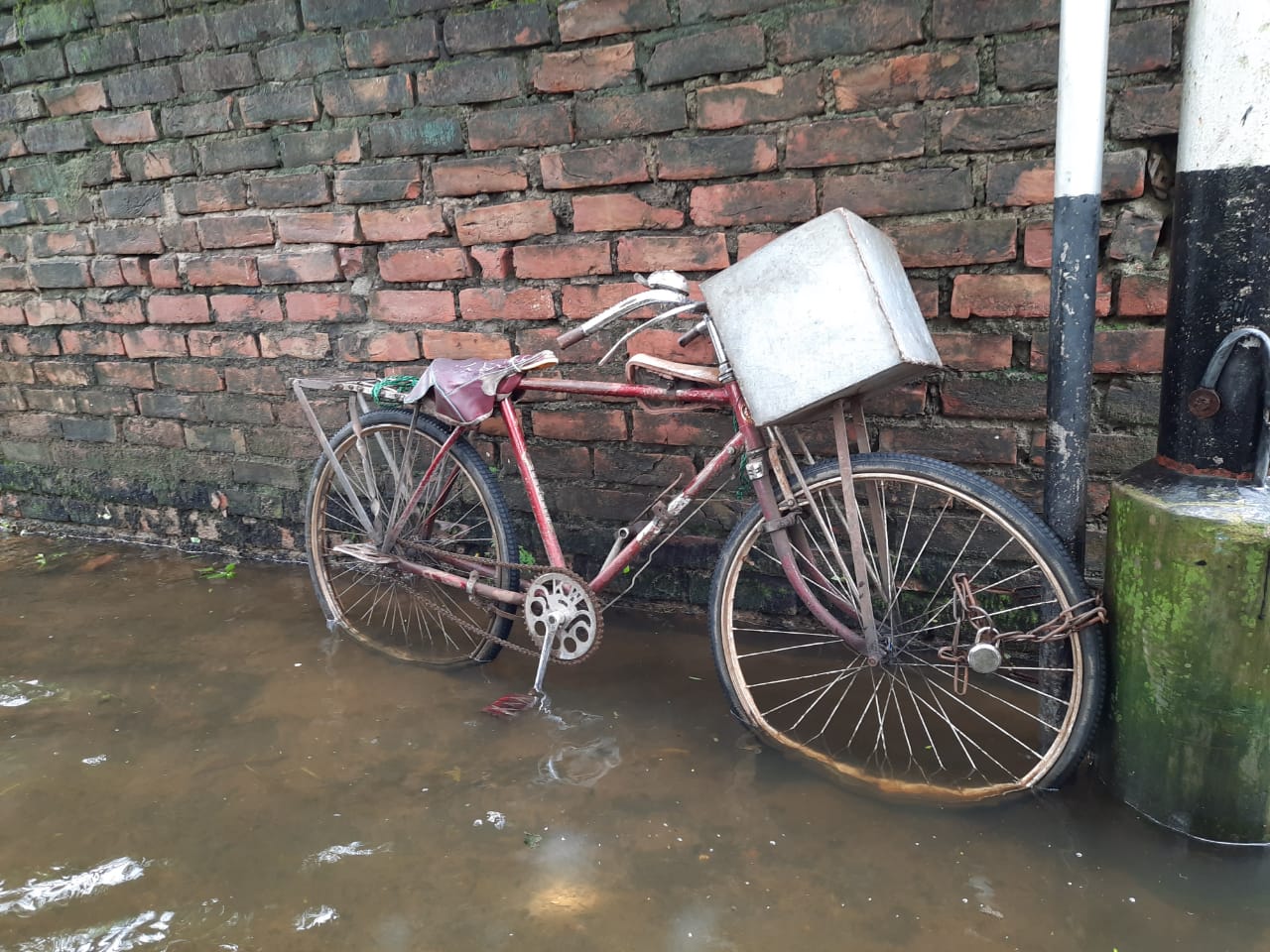 *বীরভদ্রের ছেলে দিবাকর সরকার পূর্বপাড়া প্রাথমিক স্কুলে তৃতীয় শ্রেণীতে পড়ে। লকডাউনের শুরু থেকেই স্কুল বন্ধ। কিন্তু পড়াশোনা তো থেমে নেই। পূর্বাচলে পাশের পাড়ায় দিদিমনির কাছে পড়তে যায় সে। অন্য সময় নিজেই হেঁটে-হেঁটে পড়তে যায়। কিন্তু সামান্য বৃষ্টিতেই জল দাঁড়িয়ে যায় এই এলাকায়। গত দুদিনের ভারী বৃষ্টিতে ডুবেছে দিবাকরের পড়তে যাওয়ার পথ। তাই পড়াশুনা যাতে থমকে না যায় সেজন্য গত ক'দিন ধরে এভাবেই বাবার কাঁধে চেপেই পড়তে যায় সে। *বীরভদ্রের ছেলে দিবাকর সরকার পূর্বপাড়া প্রাথমিক স্কুলে তৃতীয় শ্রেণীতে পড়ে। লকডাউনের শুরু থেকেই স্কুল বন্ধ। কিন্তু পড়াশোনা তো থেমে নেই। পূর্বাচলে পাশের পাড়ায় দিদিমনির কাছে পড়তে যায় সে। অন্য সময় নিজেই হেঁটে-হেঁটে পড়তে যায়। কিন্তু সামান্য বৃষ্টিতেই জল দাঁড়িয়ে যায় এই এলাকায়। গত দুদিনের ভারী বৃষ্টিতে ডুবেছে দিবাকরের পড়তে যাওয়ার পথ। তাই পড়াশুনা যাতে থমকে না যায় সেজন্য গত ক'দিন ধরে এভাবেই বাবার কাঁধে চেপেই পড়তে যায় সে।