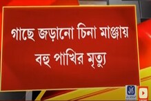 বিপজ্জনক চিনা মাঞ্জায় মৃত বহু পাখি, দেখুন ভিডিও বিপজ্জনক চিনা মাঞ্জায় মৃত বহু পাখি, দেখুন ভিডিও