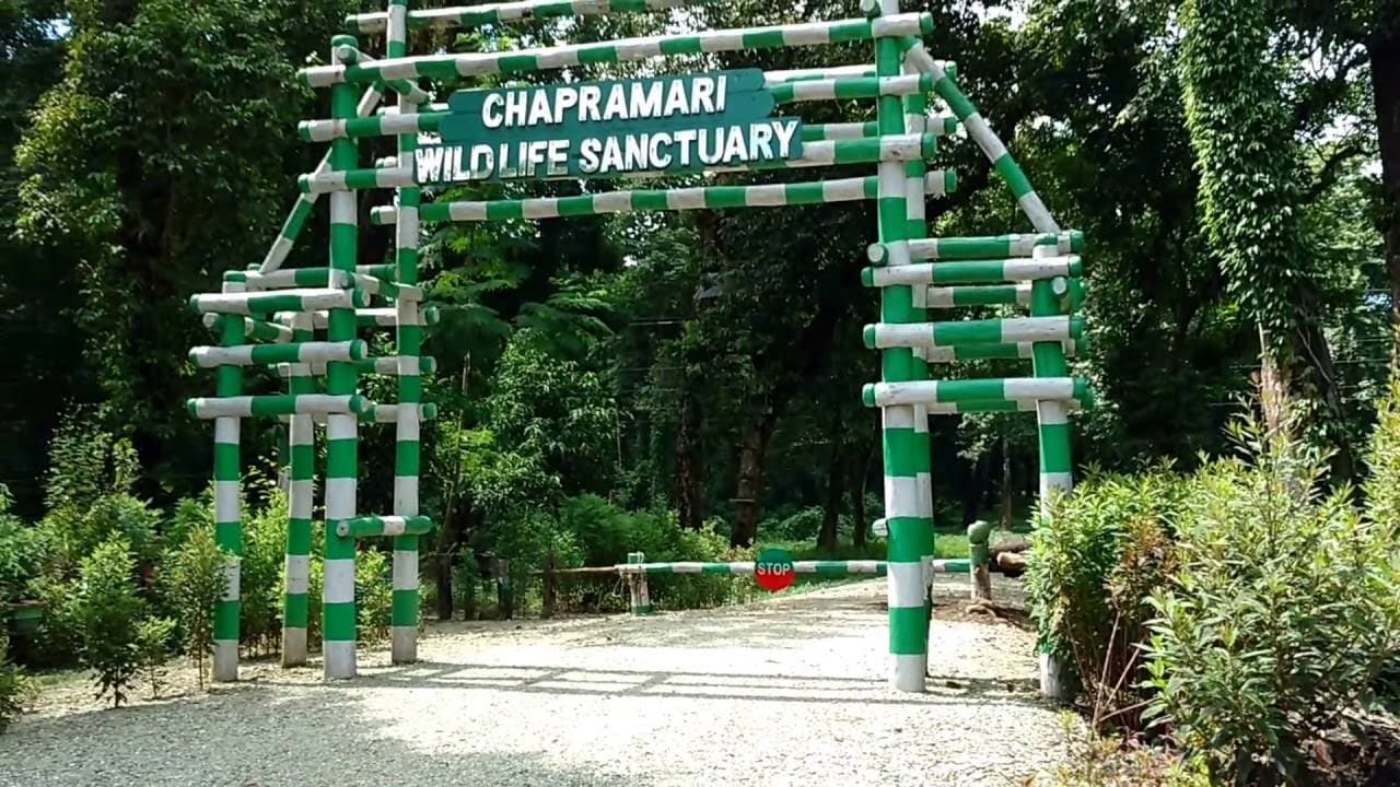 *মূর্তিতে ঘুরতে আসা পর্যটক সুস্মিতা দাস রক্ষিত জানালেন, ঘরে থাকতে আর ভাল লাগছে না তাই বেড়িয়ে পড়েছি। সংগৃহীত ছবি। *মূর্তিতে ঘুরতে আসা পর্যটক সুস্মিতা দাস রক্ষিত জানালেন, ঘরে থাকতে আর ভাল লাগছে না তাই বেড়িয়ে পড়েছি। সংগৃহীত ছবি।