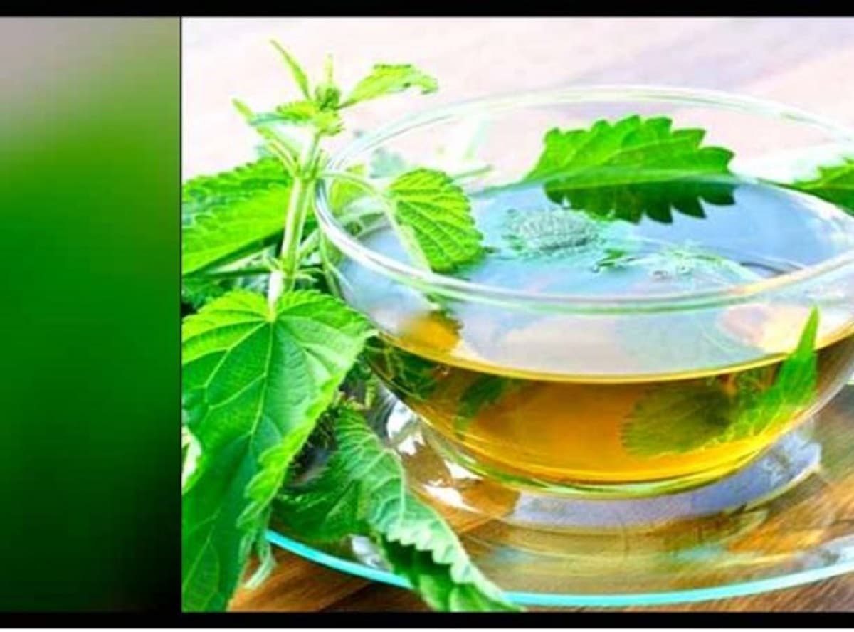 প্রথমে একটি পাত্রে ২ কাপ জল নিয়ে মাঝারি আঁচে বসান। জল ফুটে উঠলে তাতে ৩-৪টি তুলসি পাতা দিয়ে ভাল করে ফুটিয়ে নিন।photo source collected প্রথমে একটি পাত্রে ২ কাপ জল নিয়ে মাঝারি আঁচে বসান। জল ফুটে উঠলে তাতে ৩-৪টি তুলসি পাতা দিয়ে ভাল করে ফুটিয়ে নিন।photo source collected