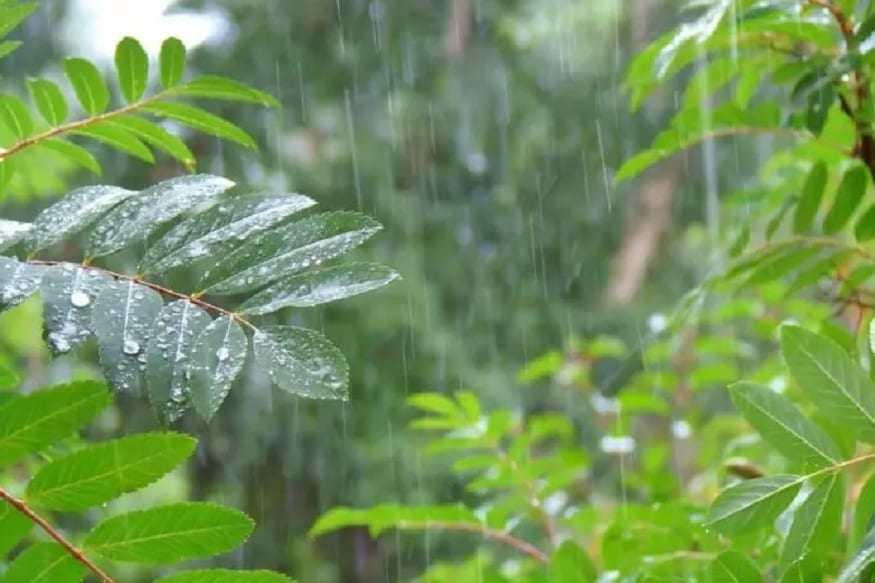 মহারাষ্ট্রে অরেঞ্জ অ্যালার্ট - মৌসম বিভাগের তরফে মহারাষ্ট্রের মুম্বই, থানে, রায়গড় ও কঙ্কন এলাকায় শনিবার অরেঞ্জ অ্যালার্ট জারি করা হয়েছে ৷ এদিন এখানে ভারী বৃষ্টির সম্ভাবনা রয়েছে ৷ অ্যালার্ট আগামী ৪৮ ঘণ্টার জন্য জারি করা হয়েছে ৷ পালঘর, থানে, মুম্বই, রায়গড়ে আগামী ২৪ ঘণ্টায় বজ্রবিদ্যুৎ-সহ বৃষ্টির সম্ভাবনা রয়েছে ৷ মহারাষ্ট্রে অরেঞ্জ অ্যালার্ট - মৌসম বিভাগের তরফে মহারাষ্ট্রের মুম্বই, থানে, রায়গড় ও কঙ্কন এলাকায় শনিবার অরেঞ্জ অ্যালার্ট জারি করা হয়েছে ৷ এদিন এখানে ভারী বৃষ্টির সম্ভাবনা রয়েছে ৷ অ্যালার্ট আগামী ৪৮ ঘণ্টার জন্য জারি করা হয়েছে ৷ পালঘর, থানে, মুম্বই, রায়গড়ে আগামী ২৪ ঘণ্টায় বজ্রবিদ্যুৎ-সহ বৃষ্টির সম্ভাবনা রয়েছে ৷