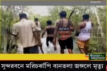 পেশা বদলে বাঘের পেটে! বাঘে টেনে নিল বাংলার পরিযায়ী শ্রমিককে পেশা বদলে বাঘের পেটে! বাঘে টেনে নিল বাংলার পরিযায়ী শ্রমিককে