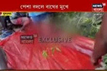 কাঁকড়া ধরতে গিয়ে বাঘের হানায় মৃত্যু