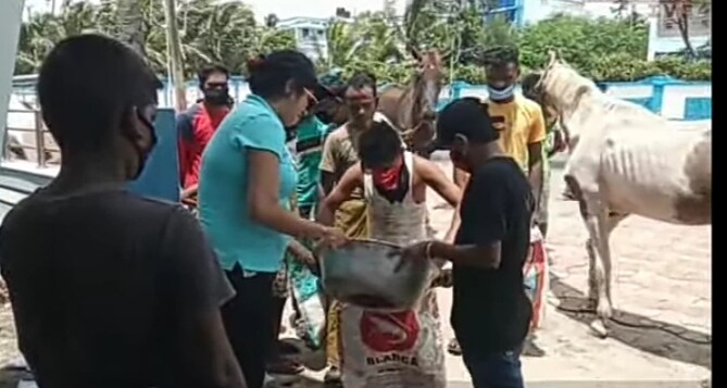 দীঘায় দীর্ঘ সময় লকডাউনের মাঝে পড়ে অবলা পশুদের খুবই খারাপ অবস্থা। সঙ্গীন হয়ে পড়ে জীবন। একদিকে খাদ্য সংকট অপর দিকে রোগের প্রকোপ। আসলে খাওয়ার আর যত্নের অভাবে রোগগ্রস্ত অবস্থায় পথ কুকুর হোক কিংবা সি বিচের ঘোড়া, সবই আছে অসহায় অবস্থাতেই। যা জেনেশুনেই অসহায়দের সেবায় এগিয়ে এসেছেন কলকাতার এক স্বেচ্ছাসেবী সংস্থা। ছবি ও তথ্য SUJIT BHOWMIK দীঘায় দীর্ঘ সময় লকডাউনের মাঝে পড়ে অবলা পশুদের খুবই খারাপ অবস্থা। সঙ্গীন হয়ে পড়ে জীবন। একদিকে খাদ্য সংকট অপর দিকে রোগের প্রকোপ। আসলে খাওয়ার আর যত্নের অভাবে রোগগ্রস্ত অবস্থায় পথ কুকুর হোক কিংবা সি বিচের ঘোড়া, সবই আছে অসহায় অবস্থাতেই। যা জেনেশুনেই অসহায়দের সেবায় এগিয়ে এসেছেন কলকাতার এক স্বেচ্ছাসেবী সংস্থা। ছবি ও তথ্য SUJIT BHOWMIK