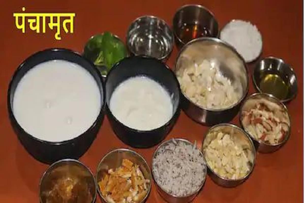 পঞ্চামৃতে ৫ ধরণের অমৃত থাকে৷ এতে দুধ-দই-ঘি-মধু আর মিছরি থাকে৷ আয়ুর্বেদের হিসেবে এই পঞ্চামৃত শরীরের জন্য অত্যন্ত বেশি উপকারি৷ পঞ্চামৃত খেলে মানুষের মধ্যে পজিটিভ ভাবের উদয় হয়৷ পূজাবিধিতেও এই পঞ্চামৃতের মাহাত্ম্য বিপুল৷Photo- File পঞ্চামৃতে ৫ ধরণের অমৃত থাকে৷ এতে দুধ-দই-ঘি-মধু আর মিছরি থাকে৷ আয়ুর্বেদের হিসেবে এই পঞ্চামৃত শরীরের জন্য অত্যন্ত বেশি উপকারি৷ পঞ্চামৃত খেলে মানুষের মধ্যে পজিটিভ ভাবের উদয় হয়৷ পূজাবিধিতেও এই পঞ্চামৃতের মাহাত্ম্য বিপুল৷Photo- File