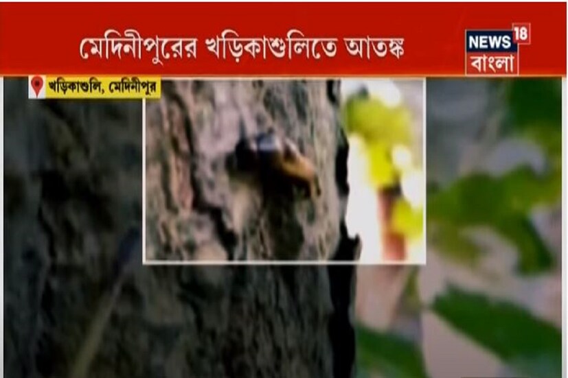 উপযুক্ত পদক্ষেপ নেওয়া হবে বলে জানিয়েছেন  পশ্চিম মেদিনীপুর জেলা পরিষদের কৃষি কর্মাধ্যক্ষ রমাপ্রসাদ গিরি।কী পতঙ্গ তা জানতে গ্রামে টিম পাঠানোর চিন্তাভাবনা করা হচ্ছে। 