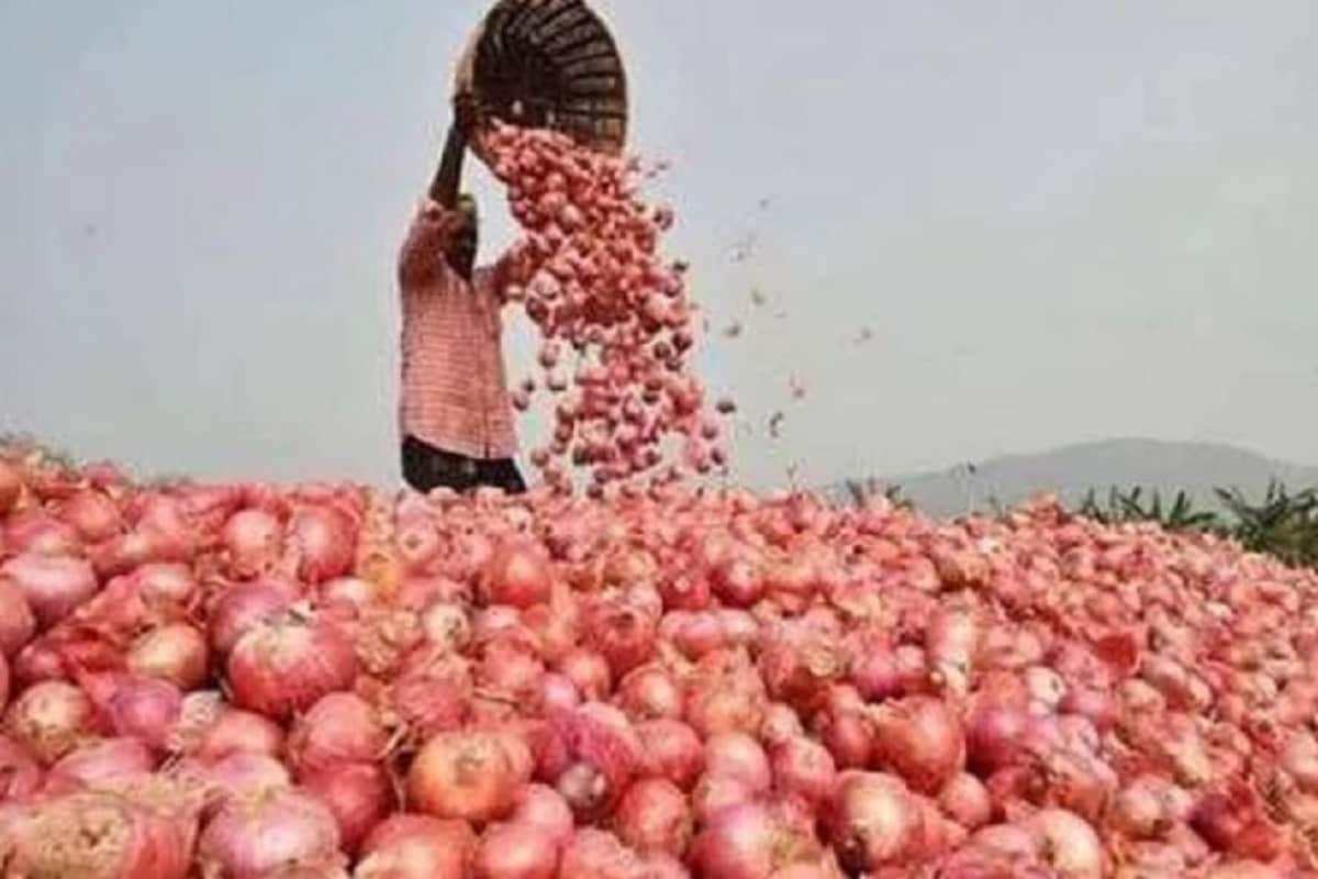 ভারতেও গত একমাসে পেঁয়াজের দাম অনেকটাই বৃদ্ধি পেয়েছে৷ কারণ কর্ণাটক এবং অন্ধ্র প্রদেশের মতোপেঁয়াজ উৎপাদনকারী রাজ্যগুলিতে গত ১ জুন থেকে স্বাভাবিকের তুলনায় ৪১ শতাংশ অতিরিক্ত বৃষ্টিহয়েছে৷ যার ফলে পেঁয়াজ চাষে ব্যাপক ক্ষতি হয়েছে৷ যার প্রভাব পড়েছে সরবরাহে৷ ফলে দেশের বাজারেপেঁয়াজের জোগান বাড়িয়ে দাম কমাতেই পেঁয়াজ রপ্তানিতে নিষেধাজ্ঞা জারি করা হয়েছে৷প্রতীকী ছবি ভারতেও গত একমাসে পেঁয়াজের দাম অনেকটাই বৃদ্ধি পেয়েছে৷ কারণ কর্ণাটক এবং অন্ধ্র প্রদেশের মতোপেঁয়াজ উৎপাদনকারী রাজ্যগুলিতে গত ১ জুন থেকে স্বাভাবিকের তুলনায় ৪১ শতাংশ অতিরিক্ত বৃষ্টিহয়েছে৷ যার ফলে পেঁয়াজ চাষে ব্যাপক ক্ষতি হয়েছে৷ যার প্রভাব পড়েছে সরবরাহে৷ ফলে দেশের বাজারেপেঁয়াজের জোগান বাড়িয়ে দাম কমাতেই পেঁয়াজ রপ্তানিতে নিষেধাজ্ঞা জারি করা হয়েছে৷প্রতীকী ছবি