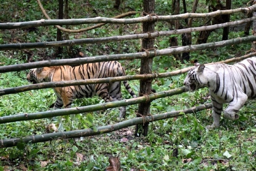 *করোনা তখনও একে মহামারি হিসেবে ঘোষণা করেনি বিশ্ব স্বাস্থ্য সংস্থা। তার আগেই বন্ধ করে দেওয়া হয় দরজা। দিনটা ১৭ মার্চ। এরই মাঝে দেশে ছড়িয়ে পড়ে মারণ ভাইরাসের জাল। দেশজুড়ে শুরু হয় লকডাউন। তারপর ধাপে ধাপে আনলক পর্ব শুরু হয়।