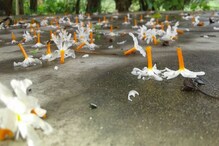 āϰā§āϤāĻŋ āĻŽā§āύ⧠āĻŦā§āϧāύ āĻĻāĻŋā§ā§ āĻāĻ āĻĨā§āĻā§ āĻŦā§āϰāĻā§āĻŽā§āϰ āĻĻā§āĻŦāϰāĻžāĻāĻĒā§āϰā§āϰ āĻŦāĻžāϞāĻŋāĻā§ā§āĻŋāϰ āĻā§āϰāĻžāĻŽā§āϰ āĻĻā§āĻ āĻĒāϰāĻŋāĻŦāĻžāϰā§āϰ āϰā§āϤāĻŋ āĻŽā§āύ⧠āĻŦā§āϧāύ āĻĻāĻŋā§ā§ āĻāĻ āĻĨā§āĻā§ āĻŦā§āϰāĻā§āĻŽā§āϰ āĻĻā§āĻŦāϰāĻžāĻāĻĒā§āϰā§āϰ āĻŦāĻžāϞāĻŋāĻā§ā§āĻŋāϰ āĻā§āϰāĻžāĻŽā§āϰ āĻĻā§āĻ āĻĒāϰāĻŋāĻŦāĻžāϰā§āϰ