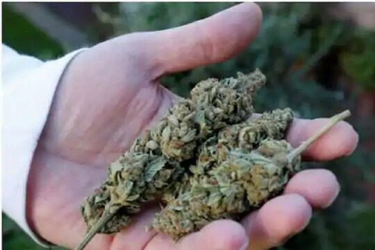 প্রতীকী ছবি