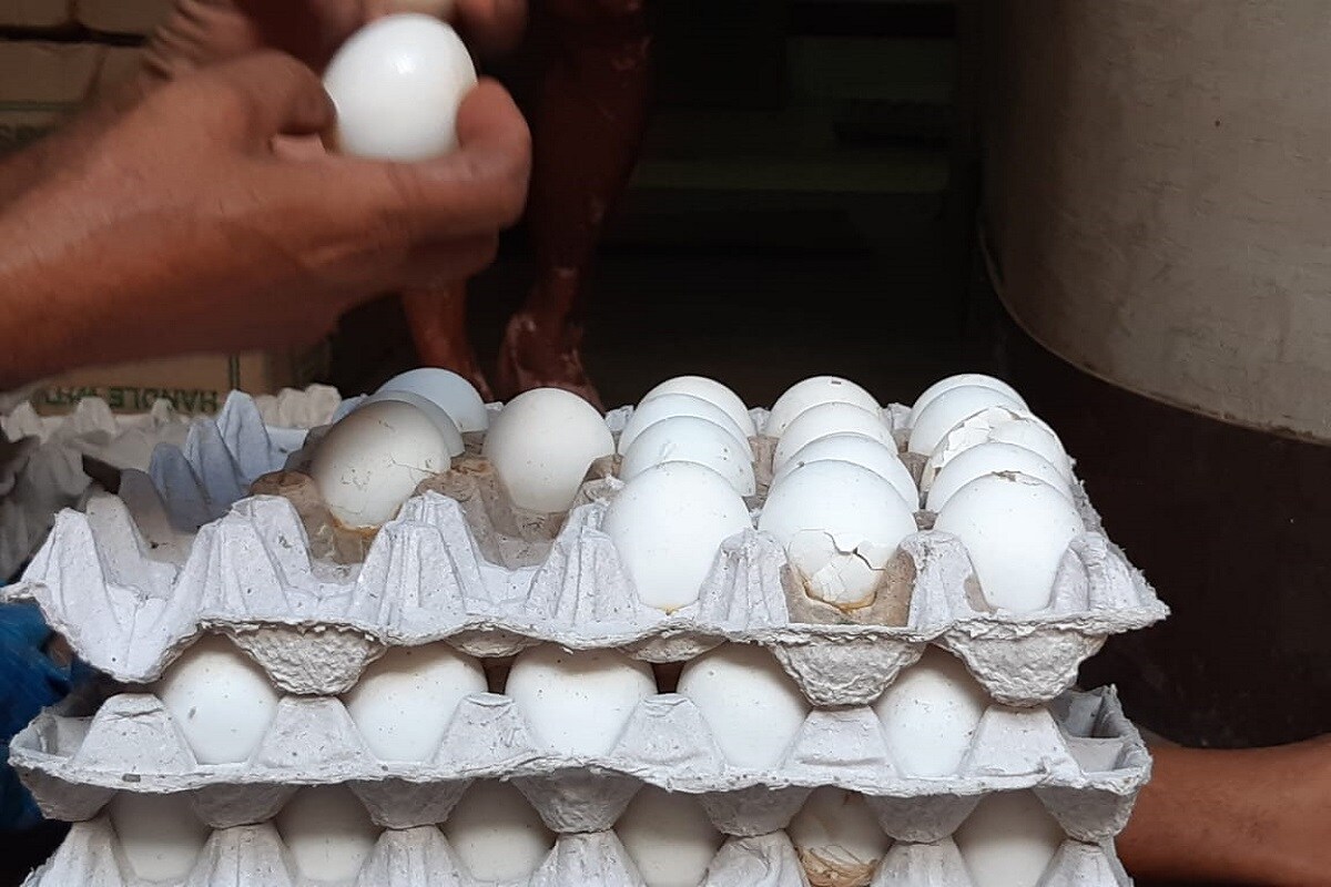 প্রোটিন ও ক্যালসিয়ামে ভরপুর থাকে ডিম। তাই সব নন-ভেজ বাড়িতেই প্রায় রোজ ডিম খাওয়া হয়। বেশিরভাগ বাড়িতেই তাই ডিম ফ্রিজে রাখা হয়। আর দোকানগুলোতে তো এই দৃশ্য খুব সাধারণ বিষয়। প্রোটিন ও ক্যালসিয়ামে ভরপুর থাকে ডিম। তাই সব নন-ভেজ বাড়িতেই প্রায় রোজ ডিম খাওয়া হয়। বেশিরভাগ বাড়িতেই তাই ডিম ফ্রিজে রাখা হয়। আর দোকানগুলোতে তো এই দৃশ্য খুব সাধারণ বিষয়।