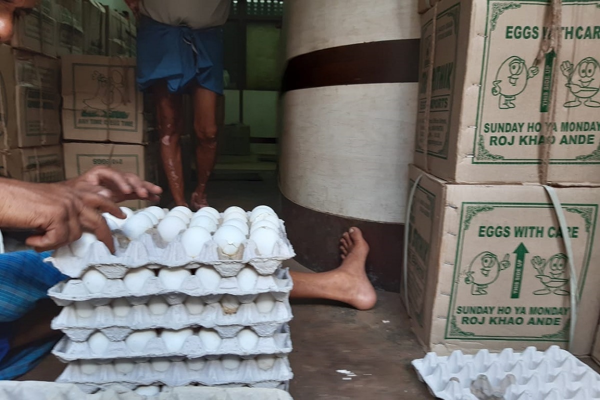 •পশ্চিমবঙ্গে প্রতিদিন ডিমের উৎপাদন প্রায় ৮০ লক্ষ থেকে ১ কোটি। আমফান পরবর্তী বাংলায় ডিমের উৎপাদন ২০ থেকে ৩০ লক্ষ কমে গেছে। পশ্চিমবঙ্গে প্রতিদিন ডিমের চাহিদা প্রায় আড়াই লক্ষ।এই ঘাটতি ডিম আসে অন্ধ্রপ্রদেশ তেলেঙ্গানা থেকে। তাই ভারতবর্ষের বাজারের উপরেই বাংলার বাজার নির্ভর করে। দেশজুড়ে বাড়লে বাংলাতেও তাই বাড়ছে ডিমের দাম। Reporter-Biswajit Saha •পশ্চিমবঙ্গে প্রতিদিন ডিমের উৎপাদন প্রায় ৮০ লক্ষ থেকে ১ কোটি। আমফান পরবর্তী বাংলায় ডিমের উৎপাদন ২০ থেকে ৩০ লক্ষ কমে গেছে। পশ্চিমবঙ্গে প্রতিদিন ডিমের চাহিদা প্রায় আড়াই লক্ষ।এই ঘাটতি ডিম আসে অন্ধ্রপ্রদেশ তেলেঙ্গানা থেকে। তাই ভারতবর্ষের বাজারের উপরেই বাংলার বাজার নির্ভর করে। দেশজুড়ে বাড়লে বাংলাতেও তাই বাড়ছে ডিমের দাম। Reporter-Biswajit Saha