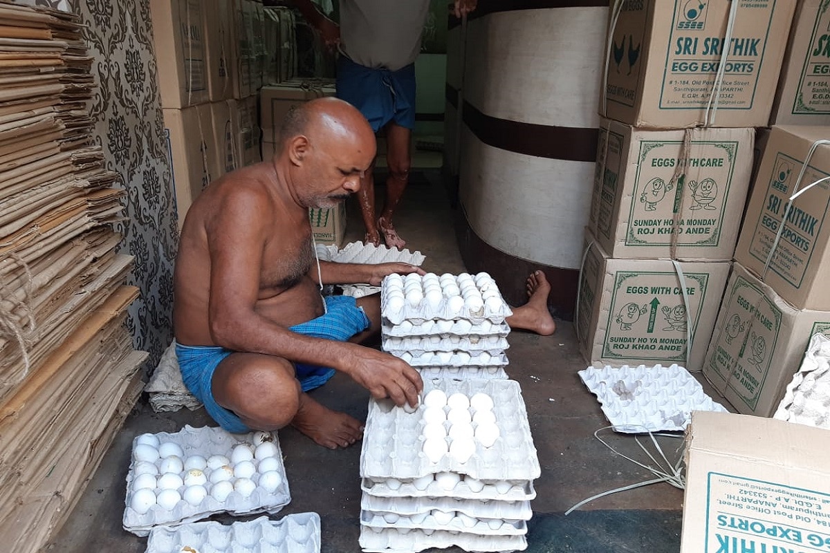 •দা কলকাতা এগ মার্চেন্ট অ্যাসোসিয়েশনের সাধারণ সম্পাদক কাজল দত্ত বলেন, আনলক পর্বে দোকান খুলতেই কিছুটা চাহিদা বেড়েছে। তাই ডিমের দাম বেড়েছে। ফাস্টফুড ও রেস্তোরাঁ সব নিয়মিত খোলা থাকলে ডিমের দাম আরও অনেকটা বাড়ত। পশ্চিমবঙ্গে উৎপাদনের থেকে ডিমের চাহিদা দেড় গুণ বেশি। কাজলবাবু আরও জানান সাময়িক কিছুটা নামলেও ডিমের দাম পুজোর আগে সেভাবে কমার কোন সম্ভাবনা নেই দেশের মার্কেটে। •দা কলকাতা এগ মার্চেন্ট অ্যাসোসিয়েশনের সাধারণ সম্পাদক কাজল দত্ত বলেন, আনলক পর্বে দোকান খুলতেই কিছুটা চাহিদা বেড়েছে। তাই ডিমের দাম বেড়েছে। ফাস্টফুড ও রেস্তোরাঁ সব নিয়মিত খোলা থাকলে ডিমের দাম আরও অনেকটা বাড়ত। পশ্চিমবঙ্গে উৎপাদনের থেকে ডিমের চাহিদা দেড় গুণ বেশি। কাজলবাবু আরও জানান সাময়িক কিছুটা নামলেও ডিমের দাম পুজোর আগে সেভাবে কমার কোন সম্ভাবনা নেই দেশের মার্কেটে।