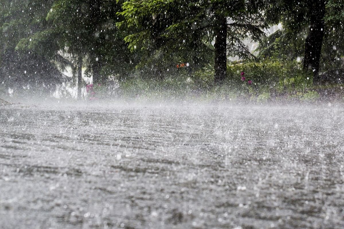 সকালে সর্বনিম্ন তাপমাত্রা ২৮.৩ ডিগ্রি সেলসিয়াস ছিল যা স্বাভাবিক তাপমাত্রা থেকে ২ ডিগ্রি বেশি। গতকাল সর্বোচ্চ তাপমাত্রা ৩৫.৬ ডিগ্রি সেলসিয়াস ছিল যা স্বাভাবিক তাপমাত্রার থেকে ৩ ডিগ্রি সেলসিয়াস বেশি। বাতাসে আপেক্ষিক আদ্রতার পরিমাণ ৫৯ থেকে ৯৩ শতাংশ। কলকাতায় বৃষ্টি হয়নি গত ২৪ ঘণ্টায় । সকালে সর্বনিম্ন তাপমাত্রা ২৮.৩ ডিগ্রি সেলসিয়াস ছিল যা স্বাভাবিক তাপমাত্রা থেকে ২ ডিগ্রি বেশি। গতকাল সর্বোচ্চ তাপমাত্রা ৩৫.৬ ডিগ্রি সেলসিয়াস ছিল যা স্বাভাবিক তাপমাত্রার থেকে ৩ ডিগ্রি সেলসিয়াস বেশি। বাতাসে আপেক্ষিক আদ্রতার পরিমাণ ৫৯ থেকে ৯৩ শতাংশ। কলকাতায় বৃষ্টি হয়নি গত ২৪ ঘণ্টায় ।