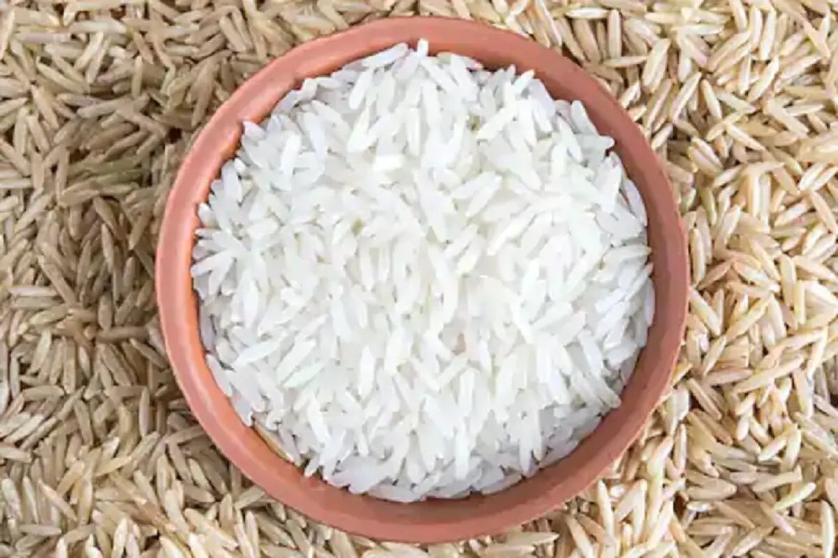 এই গবেষণার জন্য বেছে নেওয়া হয়েছি ভারত, চিন-সহ এশিয়ার মহাদেশের বেশ কয়েকটি দেশকে। সঙ্গে ছিল উত্তর আমেরিকা, ইওরোপ,দক্ষিণ আমেরিকার বেশ কয়েকটি দেশ। গুরুত্ব দেওয়া হয় ব্রাজিলকেও। এই গবেষণার জন্য বেছে নেওয়া হয়েছি ভারত, চিন-সহ এশিয়ার মহাদেশের বেশ কয়েকটি দেশকে। সঙ্গে ছিল উত্তর আমেরিকা, ইওরোপ,দক্ষিণ আমেরিকার বেশ কয়েকটি দেশ। গুরুত্ব দেওয়া হয় ব্রাজিলকেও।