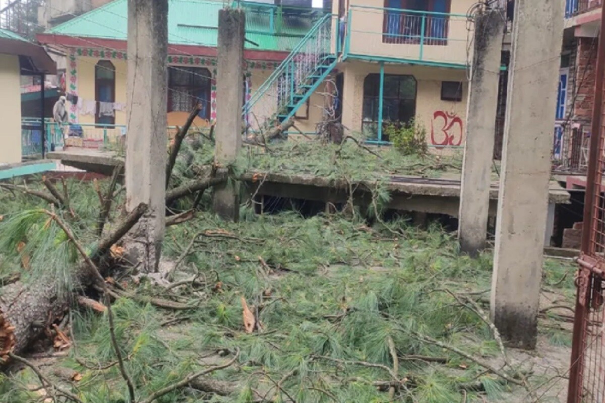 হিমাচল প্রদেশের সিমলায় শুকনো গাছের জাল বা কাঠ মানুষের জন্য সব থেকে বড় সমস্যাকর পরিস্থিতিতে পরিণত হয়েছে ৷ এদিকে ওদিকে ছড়িয়ে আছে শুকনো কাঠ ৷ গ্রীষ্মের এক অচেনা ছবি সিমলার যা সত্যি সত্যিই চমকে দেবে সবাইকে ৷ হিমাচল প্রদেশের সিমলায় শুকনো গাছের জাল বা কাঠ মানুষের জন্য সব থেকে বড় সমস্যাকর পরিস্থিতিতে পরিণত হয়েছে ৷ এদিকে ওদিকে ছড়িয়ে আছে শুকনো কাঠ ৷ গ্রীষ্মের এক অচেনা ছবি সিমলার যা সত্যি সত্যিই চমকে দেবে সবাইকে ৷
