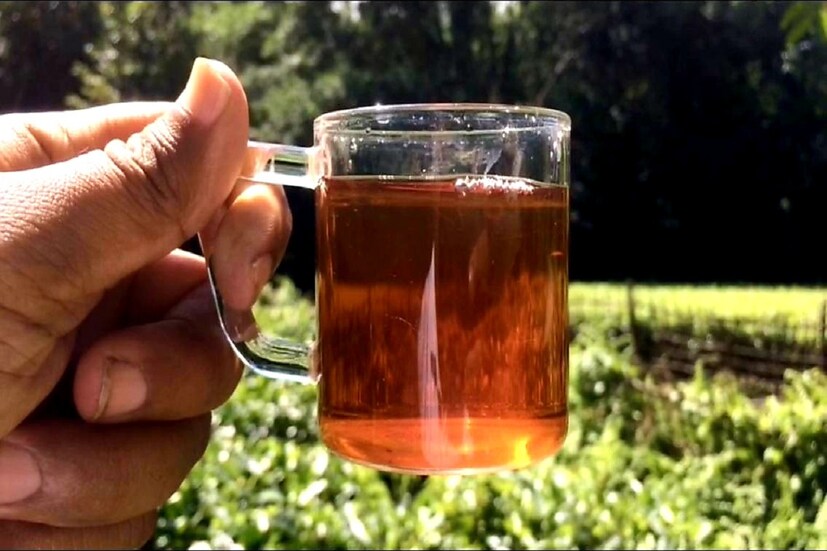 অসমের তিনসুকিয়া জেলায় ২৬.৫ একর চা বাগানের মালিক দুলু হাজারিকা৷ করোনা ভাইরাসের জেরে লকডাউনে যখন গোটা দেশ আর্থিক মন্দার কবলে, তখন যেন ছদ্মবেশেই এই সঙ্কটের সময়টা আশীর্বাদ হয়ে এসেছে দুলুর কাছে৷ গতবারের তুলনায় ৪০ শতাংশ কম চা উত্‍পাদন হলেও অসম চায়ের ব্যাপক দাম বাড়ার ফলে মোটা অঙ্কের মুনাফা ঘরে আসছে৷