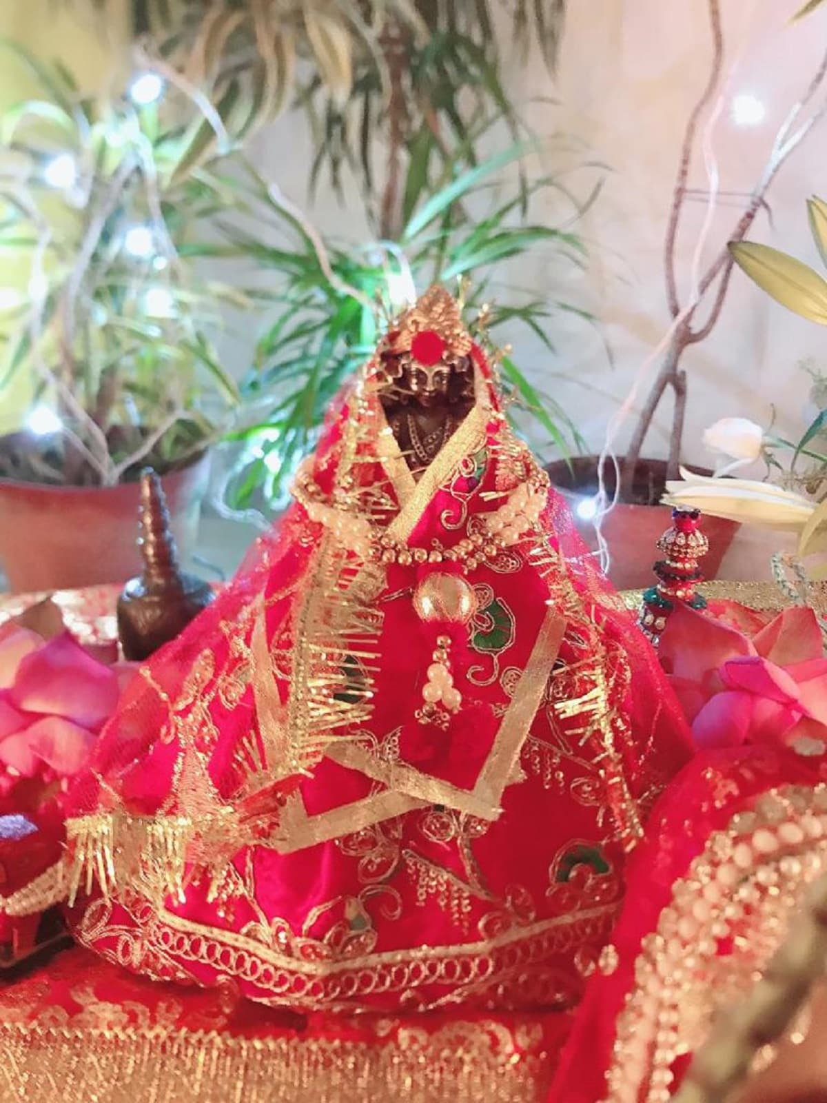 একাই সমস্ত আয়োজন করেছেন পল্লবী। মা লক্ষ্মীকে সাজানো, থেকে প্রসাদ সব কিছু নিজের হাতে করেছেন তিনি। একাই সমস্ত আয়োজন করেছেন পল্লবী। মা লক্ষ্মীকে সাজানো, থেকে প্রসাদ সব কিছু নিজের হাতে করেছেন তিনি।