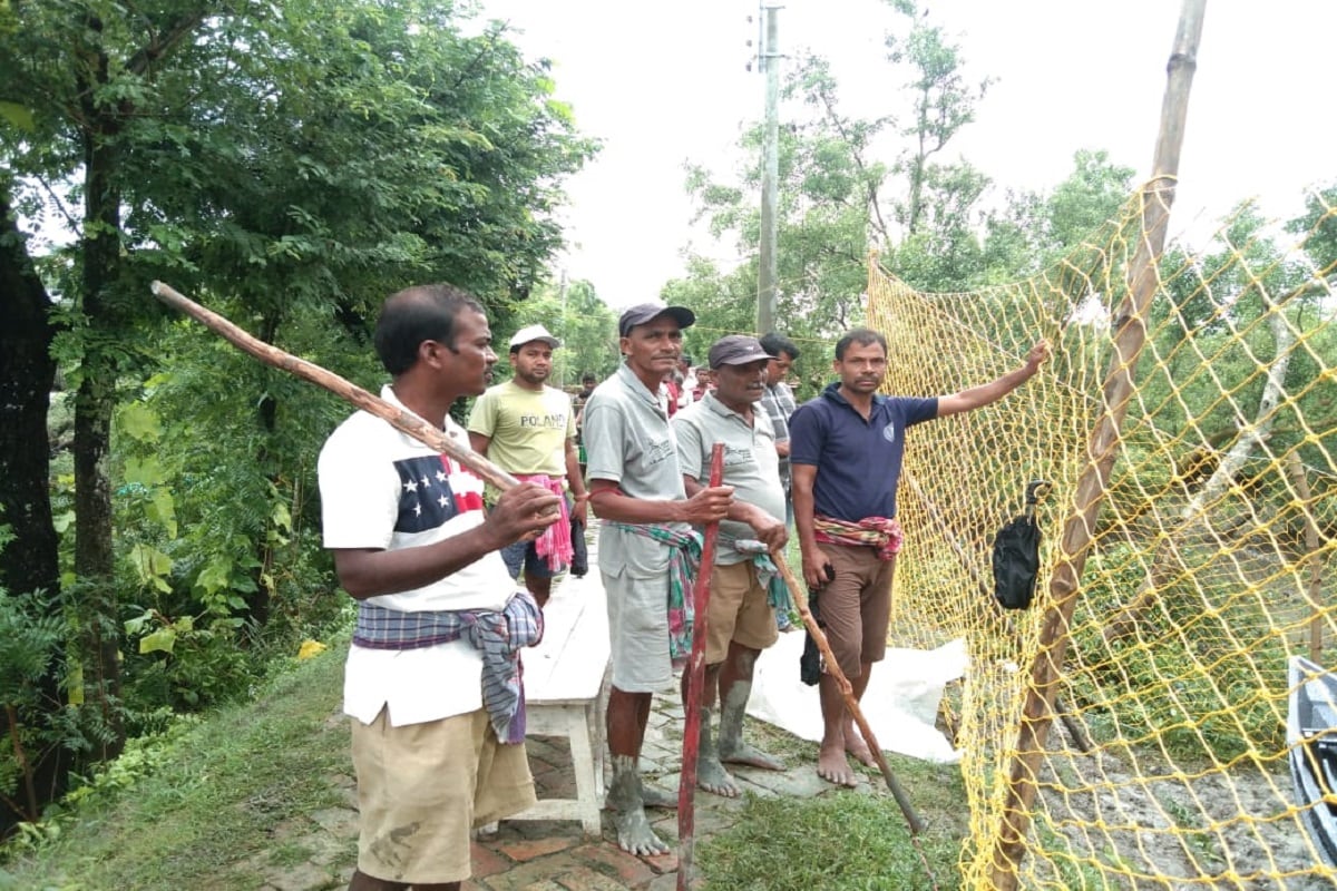 এক গ্রামবাসীর গোয়ালঘরে হানা দিয়ে একটি গরু শিকার করে রয়্যাল বেঙ্গল টাইগার। কিন্তু তারপরও এলাকা ছেড়ে যেতে রাজি নয় এই ডোরাকাটা প্রাণী। নদীর ধারে গ্রামের ইটের রাস্তার উপরেই রাজকীয় ভাবে বসে বিশ্রাম নিচ্ছে সে। আর এর জেরে ভয়ে সিঁটিয়ে গিয়েছেন সাধারণ মানুষ। এক গ্রামবাসীর গোয়ালঘরে হানা দিয়ে একটি গরু শিকার করে রয়্যাল বেঙ্গল টাইগার। কিন্তু তারপরও এলাকা ছেড়ে যেতে রাজি নয় এই ডোরাকাটা প্রাণী। নদীর ধারে গ্রামের ইটের রাস্তার উপরেই রাজকীয় ভাবে বসে বিশ্রাম নিচ্ছে সে। আর এর জেরে ভয়ে সিঁটিয়ে গিয়েছেন সাধারণ মানুষ।