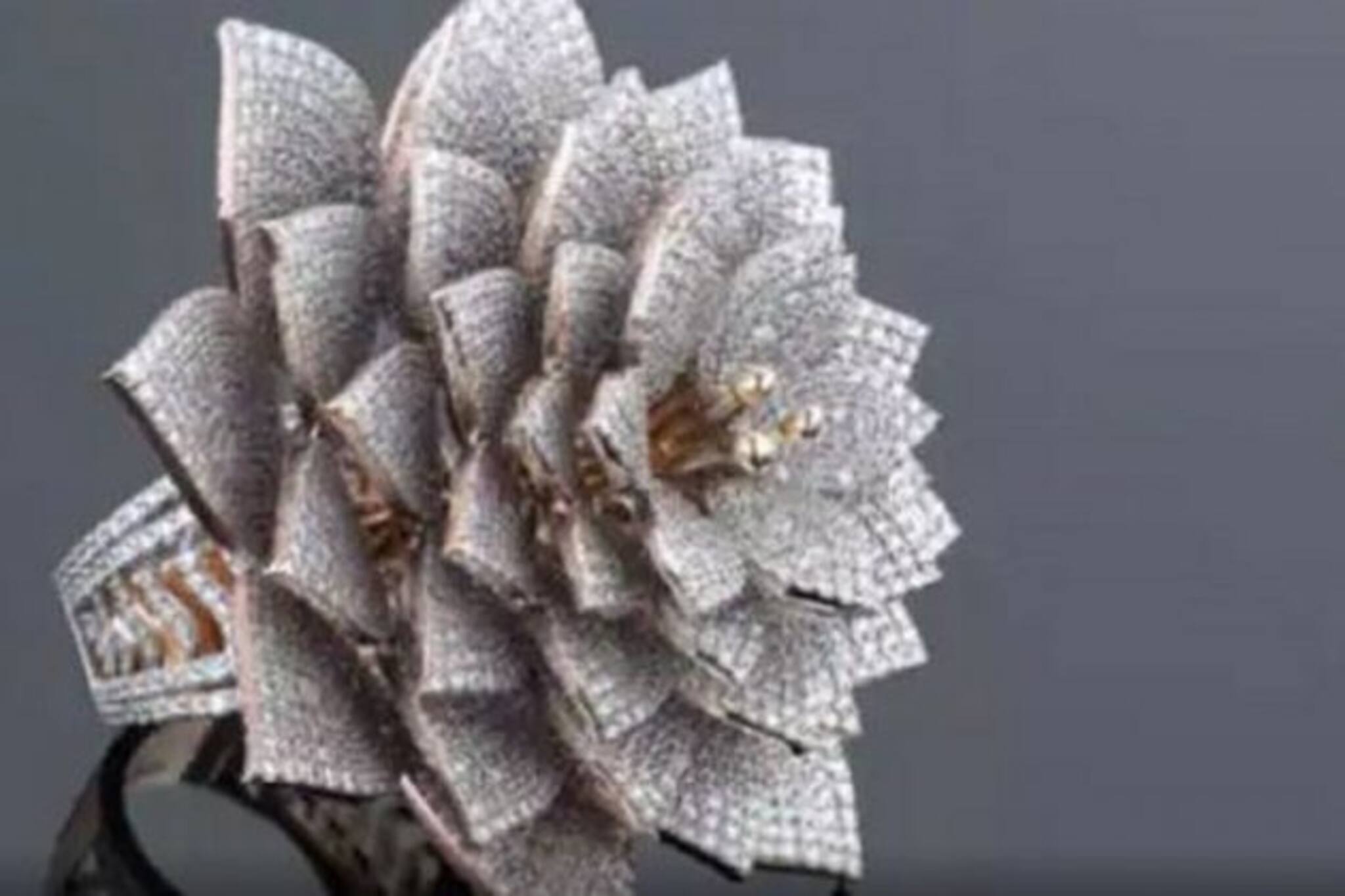 শাবাস! এক আংটিতেই গাঁথা ৭,৮০১ হিরে, গিনেস বুকে নাম হায়দরাবাদের গয়না-ব্যবসায়ীর!