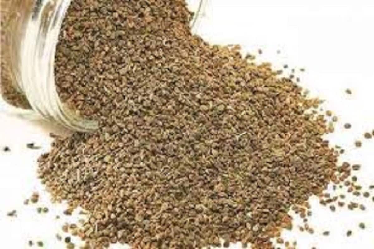 তার সঙ্গে নাক পরিষ্কার রাখার জন্য জোয়ান ও ইউক্যালিপটাসের তেল দিয়ে স্টিম নেওয়াও যে খুব ভাল, সেটাও লিখতে ভোলেনি মন্ত্রক। হাল্কা ব্যায়াম, ছয় ঘণ্টা ঘুম- এগুলোও যে রোগীকে সাহায্য করবে, বলা হয়েছে সেটাও স্পষ্ট ভাবে। তার সঙ্গে নাক পরিষ্কার রাখার জন্য জোয়ান ও ইউক্যালিপটাসের তেল দিয়ে স্টিম নেওয়াও যে খুব ভাল, সেটাও লিখতে ভোলেনি মন্ত্রক। হাল্কা ব্যায়াম, ছয় ঘণ্টা ঘুম- এগুলোও যে রোগীকে সাহায্য করবে, বলা হয়েছে সেটাও স্পষ্ট ভাবে।