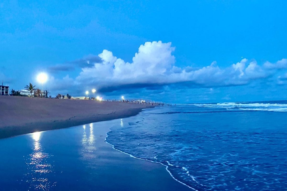 Blue Flag certification কী? এটি একটি আন্তর্জাতিক সংশাপত্র। দেওযা হয় ডেনমার্কের ফাউন্ডেশান ফর এনভায়রনমেন্ট এডুকেশানের তরফে। সংস্থার মোট ৩৩ টি শর্ত থাকে। কোনও বিচে যদি এই ৩৩ টি শর্তই যথাযথভাবে পালিত হয় তবেই এই শংসাপত্র মেলে। ওড়িশায় দিগবেনীতে মে ফেয়ার হোটেল থেকে ৮৭০ মিটার এলাকা জুড়ে ওয়ার্ল্ডব্যাঙ্কের সহায়তায় এমনি বিচ গড়ে তোলা হয়েছিল। Blue Flag certification কী? এটি একটি আন্তর্জাতিক সংশাপত্র। দেওযা হয় ডেনমার্কের ফাউন্ডেশান ফর এনভায়রনমেন্ট এডুকেশানের তরফে। সংস্থার মোট ৩৩ টি শর্ত থাকে। কোনও বিচে যদি এই ৩৩ টি শর্তই যথাযথভাবে পালিত হয় তবেই এই শংসাপত্র মেলে। ওড়িশায় দিগবেনীতে মে ফেয়ার হোটেল থেকে ৮৭০ মিটার এলাকা জুড়ে ওয়ার্ল্ডব্যাঙ্কের সহায়তায় এমনি বিচ গড়ে তোলা হয়েছিল।
