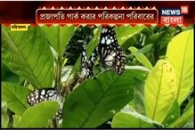 মহিষাদল রাজবাড়িতে রঙবেরঙের প্রজাপতির মেলা, দেখে নিন সেই অপূর্ব দৃশ্য মহিষাদল রাজবাড়িতে রঙবেরঙের প্রজাপতির মেলা, দেখে নিন সেই অপূর্ব দৃশ্য