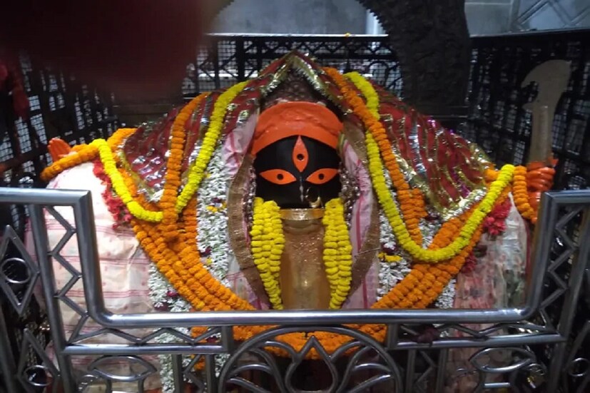 পুজোর মুখে সুখবর আপামর বাঙালির জন্য। দীর্ঘ প্রতীক্ষার পর ভক্তকুলের জন্য খুলে দেয়া হচ্ছে কালীঘাটের কালী মন্দিরের মায়ের গর্ভগৃহ। মন্দির খোলা থাকলেও এতো দিন গর্ভ গৃহ বন্ধ রাখা হয়েছিল আপামর ভক্ত কুলের জন্য। আগামী বুধবার অর্থাৎ মহাপঞ্চমীর দিন সকালে খুলে দেওয়া হবে সেই গর্ভগৃহ।