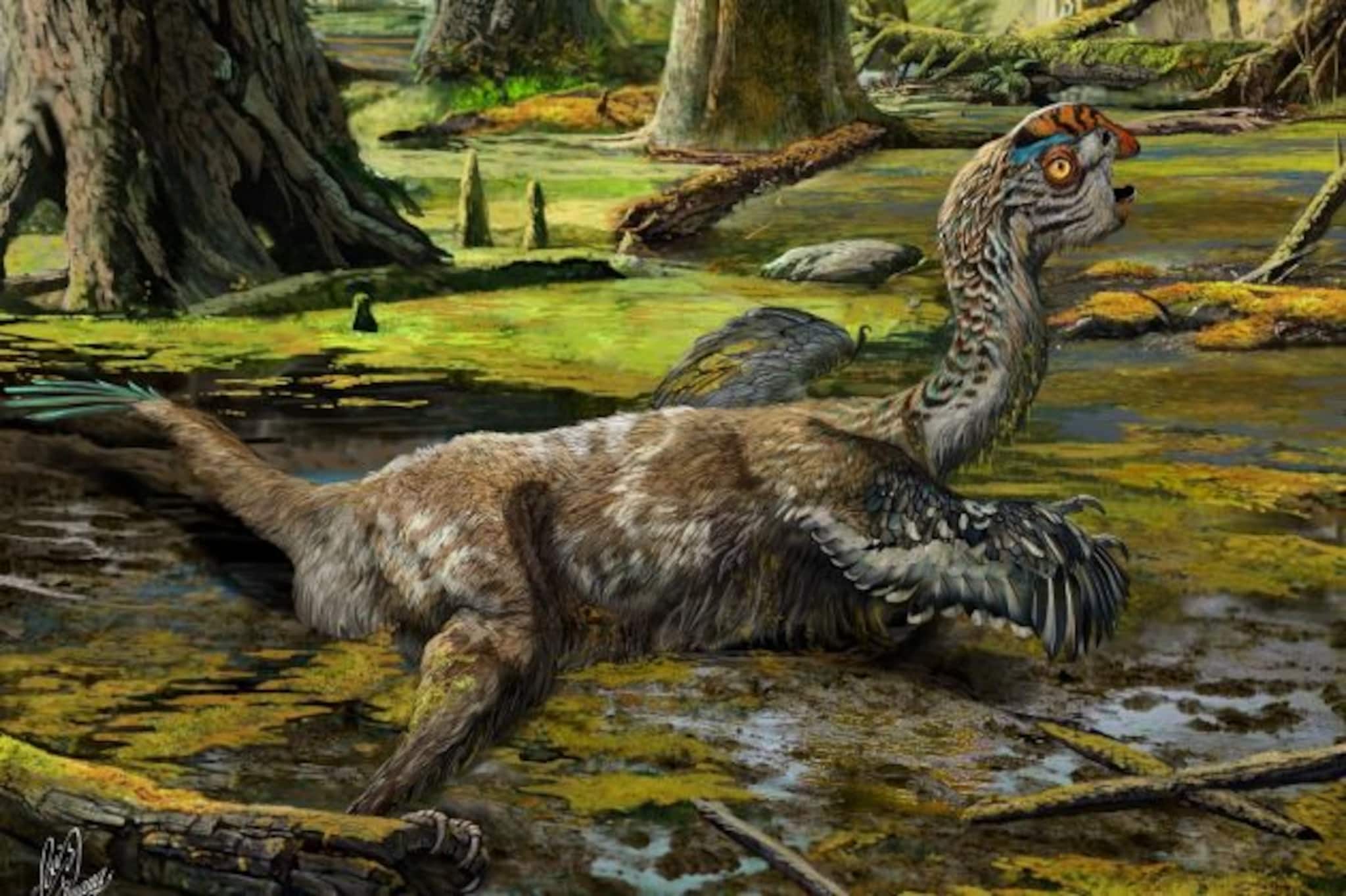 টিয়া পাখির ঠোঁটের মতো মুখ! প্রকাশ্যে এল গোবি মরুভূমির নতুন ডাইনোসর!