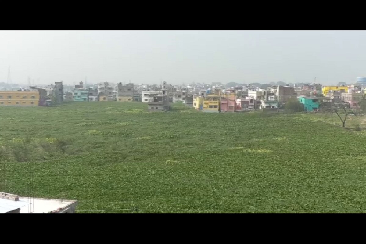 এই অবস্থায় জলাজমি বাঁচাতে ইংরেজ বাজারে বিল ভরাট করে তৈরি হওয়া জমিতে সমস্ত রকম মিউটেশন বন্ধের সিদ্ধান্ত পুরসভা কর্তৃপক্ষের। রাজ্যের অন্যান্য অনেক শহরের তুলনায় মালদহে জমির দাম অনেকটাই বেশি। যেসব এলাকায় জলাজমি ভরাট হয়েছে সেইসব এলাকাতেও প্রতি কাঠা জমি ১৫ থেকে ২০ লক্ষ টাকা দামে কেনাবেচা চলছে। এই অবস্থায় জলাজমি বাঁচাতে ইংরেজ বাজারে বিল ভরাট করে তৈরি হওয়া জমিতে সমস্ত রকম মিউটেশন বন্ধের সিদ্ধান্ত পুরসভা কর্তৃপক্ষের। রাজ্যের অন্যান্য অনেক শহরের তুলনায় মালদহে জমির দাম অনেকটাই বেশি। যেসব এলাকায় জলাজমি ভরাট হয়েছে সেইসব এলাকাতেও প্রতি কাঠা জমি ১৫ থেকে ২০ লক্ষ টাকা দামে কেনাবেচা চলছে।