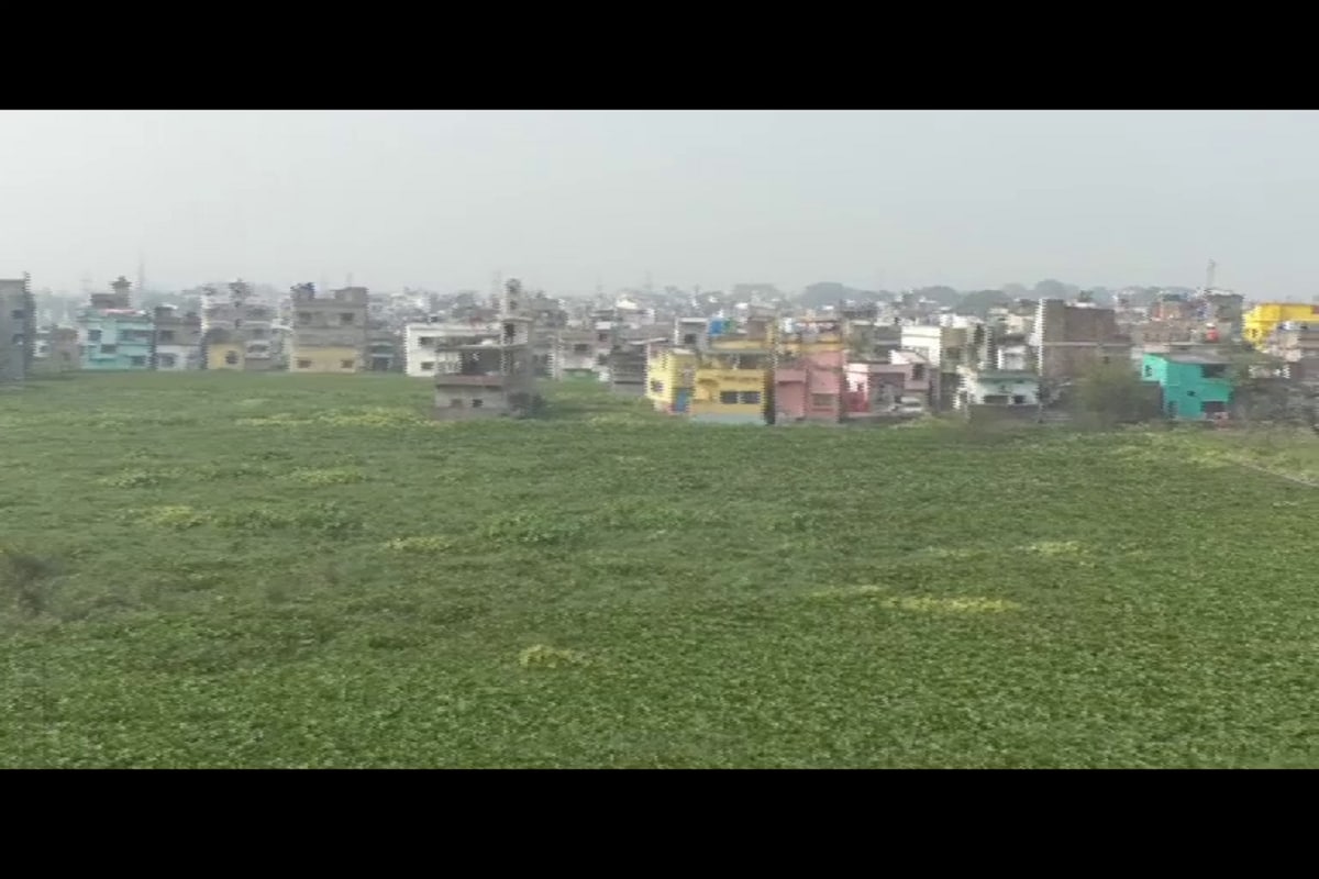 রাজ্যের অন্যতম প্রাচীন শহর ইংরেজবাজার। গত কয়েক বছরে হু হু করে বেড়েছে শহরের জনসংখ্যা। ইংরেজবাজার পুর এলাকার মোট আয়তন ১৩.২৫ বর্গ কিলোমিটার। ২৯ ওয়ার্ডের মালদা শহরের বর্তমান জনসংখ্যা প্রায় আড়াই লক্ষ। কিন্তু, জনসংখ্যা বাড়লেও সেই অনুপাতে বাড়েনি শহর। এরই সুযোগে শহরের ৩,২৫,২৯ ওয়ার্ডে বেশ কিছু এলাকায় জলাজমি ভরাট ও বিক্রির রমরমা কারবার চলছে। বিশেষ করে শহরের মালঞ্চপল্লী, কৃষ্ণপল্লী, নেতাজী পার্ক, লেক গার্ডেন প্রভৃতি এলাকায় বিল ভরাট করে প্রচুর জমি বিক্রি হয়ে গিয়েছে। রাজ্যের অন্যতম প্রাচীন শহর ইংরেজবাজার। গত কয়েক বছরে হু হু করে বেড়েছে শহরের জনসংখ্যা। ইংরেজবাজার পুর এলাকার মোট আয়তন ১৩.২৫ বর্গ কিলোমিটার। ২৯ ওয়ার্ডের মালদা শহরের বর্তমান জনসংখ্যা প্রায় আড়াই লক্ষ। কিন্তু, জনসংখ্যা বাড়লেও সেই অনুপাতে বাড়েনি শহর। এরই সুযোগে শহরের ৩,২৫,২৯ ওয়ার্ডে বেশ কিছু এলাকায় জলাজমি ভরাট ও বিক্রির রমরমা কারবার চলছে। বিশেষ করে শহরের মালঞ্চপল্লী, কৃষ্ণপল্লী, নেতাজী পার্ক, লেক গার্ডেন প্রভৃতি এলাকায় বিল ভরাট করে প্রচুর জমি বিক্রি হয়ে গিয়েছে।