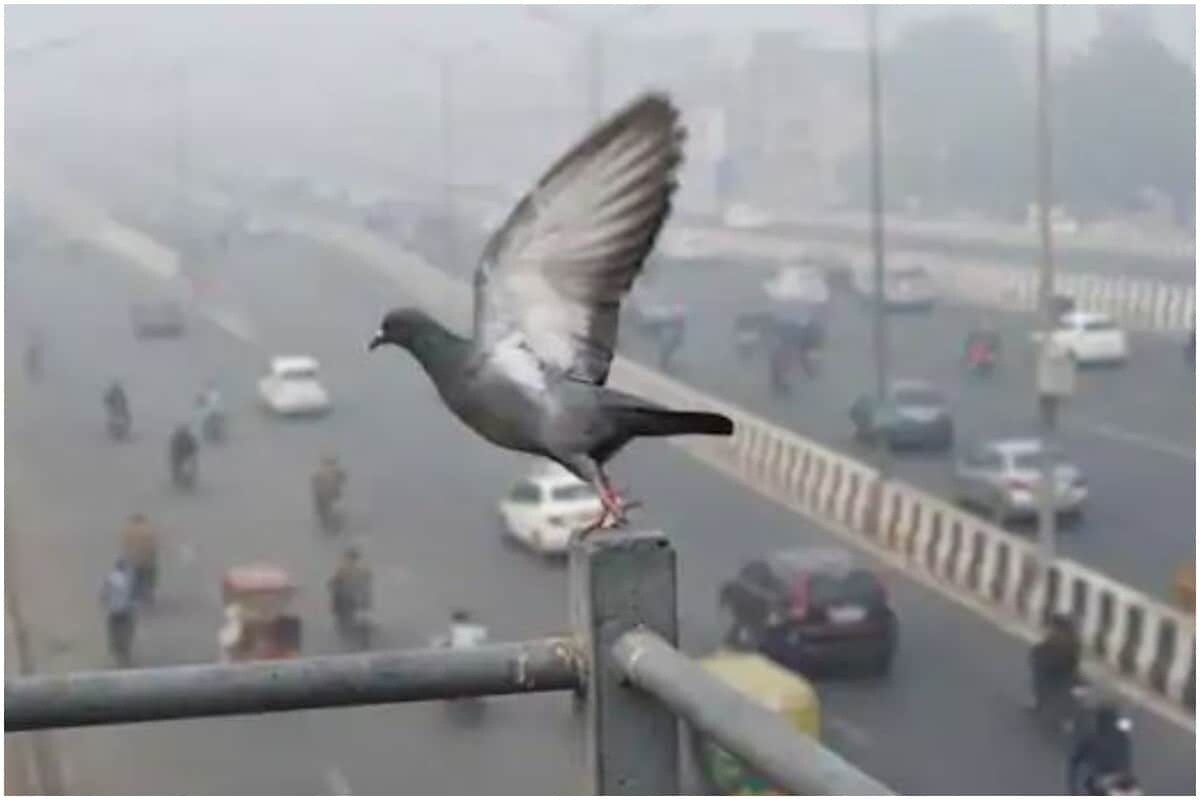 দিল্লি এবং সংলগ্ন এলাকায় বায়ুদূষণ (Air Pollution)এক গুরুতর সমস্যা। রবিবার দিল্লির দূষণের মাত্রা ছিল খারাপ বা অতি খারাপের তালিকায়। সরকারি সংস্থা জানিয়েছে যে প্রতিকূল আবহাওয়ার কারণে আগামী দিনে এটি আরও খারাপ হওয়ার আশঙ্কা করা হচ্ছে। রবিবার দিল্লির গড় এয়ার কোয়ালিটি ইনডেক্স (একিউআই) ছিল ২৭৪, যা শনিবার ছিল ২৫১। একইভাবে, দিল্লিতে শুক্রবার, বৃহস্পতিবার এবং বুধবার একিউআই ছিল যথাক্রমে ২৯৬, ২৮৩ এবং ২১১। দিল্লি এবং সংলগ্ন এলাকায় বায়ুদূষণ (Air Pollution)এক গুরুতর সমস্যা। রবিবার দিল্লির দূষণের মাত্রা ছিল খারাপ বা অতি খারাপের তালিকায়। সরকারি সংস্থা জানিয়েছে যে প্রতিকূল আবহাওয়ার কারণে আগামী দিনে এটি আরও খারাপ হওয়ার আশঙ্কা করা হচ্ছে। রবিবার দিল্লির গড় এয়ার কোয়ালিটি ইনডেক্স (একিউআই) ছিল ২৭৪, যা শনিবার ছিল ২৫১। একইভাবে, দিল্লিতে শুক্রবার, বৃহস্পতিবার এবং বুধবার একিউআই ছিল যথাক্রমে ২৯৬, ২৮৩ এবং ২১১।