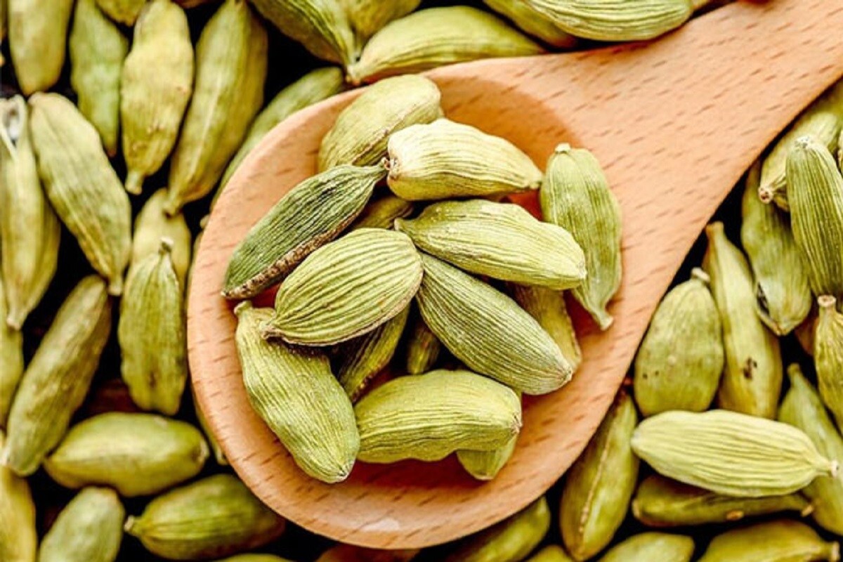 শুধু খাবারের স্বাদ বাড়ায় এমনটা নয়, এলাচের রয়েছে নানা ওষধি গুণ! গোটা বছর নিয়ম করে এলাচ খেলে অনেক জটিল-কঠিন অসুখ আপনার ধারেকাছে ঘেঁষবে না! শুধু খাবারের স্বাদ বাড়ায় এমনটা নয়, এলাচের রয়েছে নানা ওষধি গুণ! গোটা বছর নিয়ম করে এলাচ খেলে অনেক জটিল-কঠিন অসুখ আপনার ধারেকাছে ঘেঁষবে না!