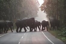 সদ্যোজাত দুই হস্তিশাবক নিয়ে ৪২ হাতির দল প্রবেশ করল কোশিরবাধ জঙ্গলে সদ্যোজাত দুই হস্তিশাবক নিয়ে ৪২ হাতির দল প্রবেশ করল কোশিরবাধ জঙ্গলে