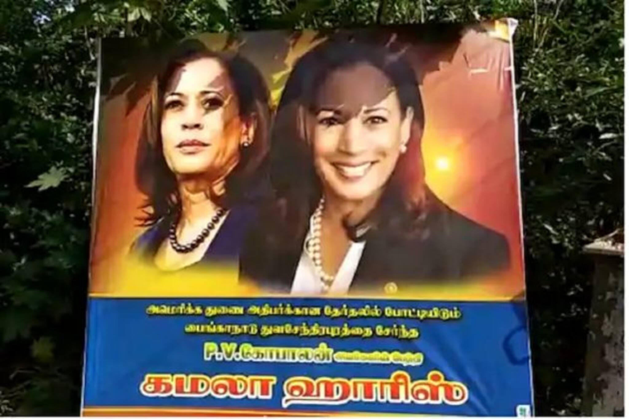 আমেরিকায় চলছে ভোট!‌ কমলার জন্য প্রার্থনা করছে ভারতের এই গ্রামটি